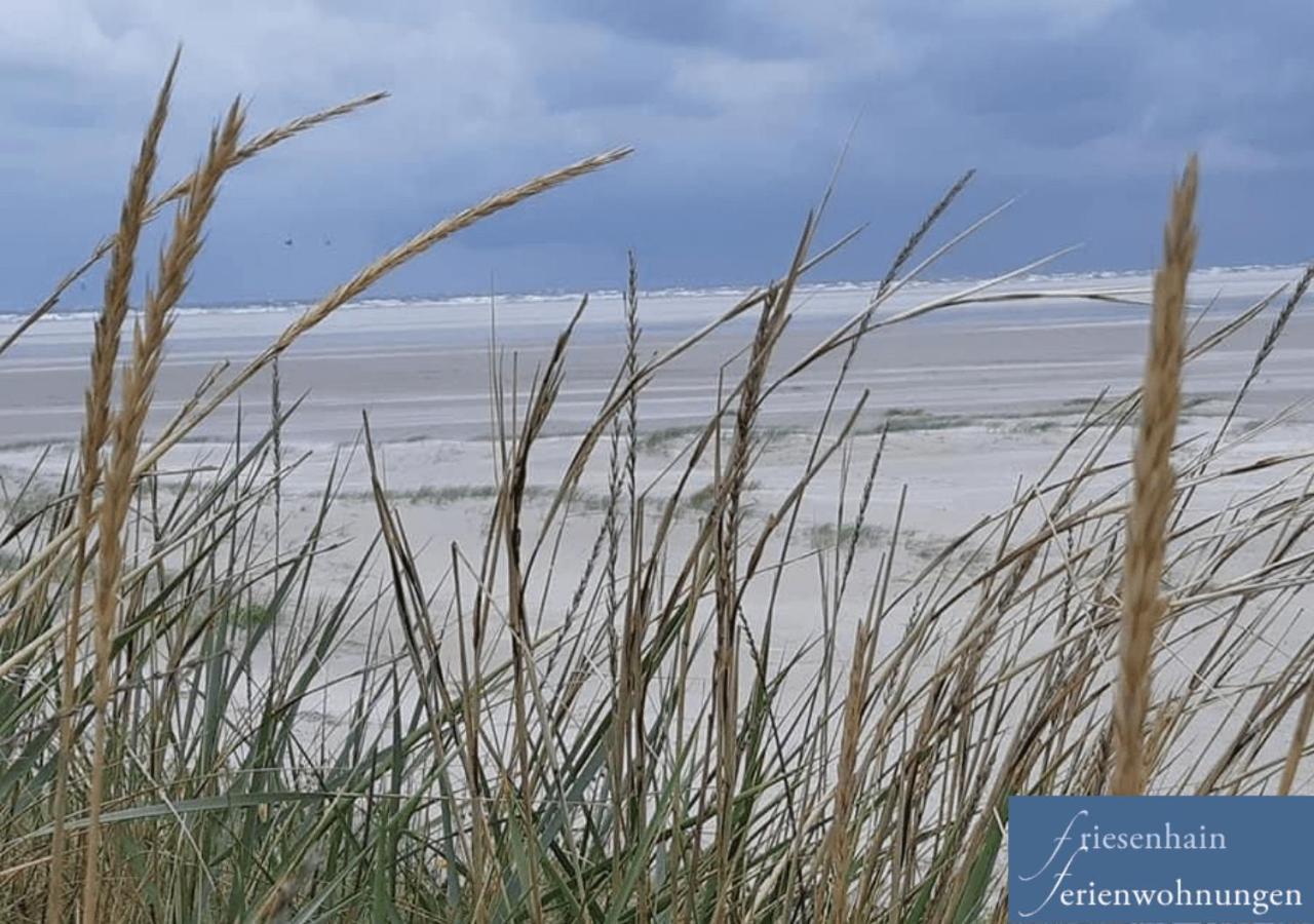 Friesenhain Ferienwohnungen Sankt Peter-Ording Bagian luar foto